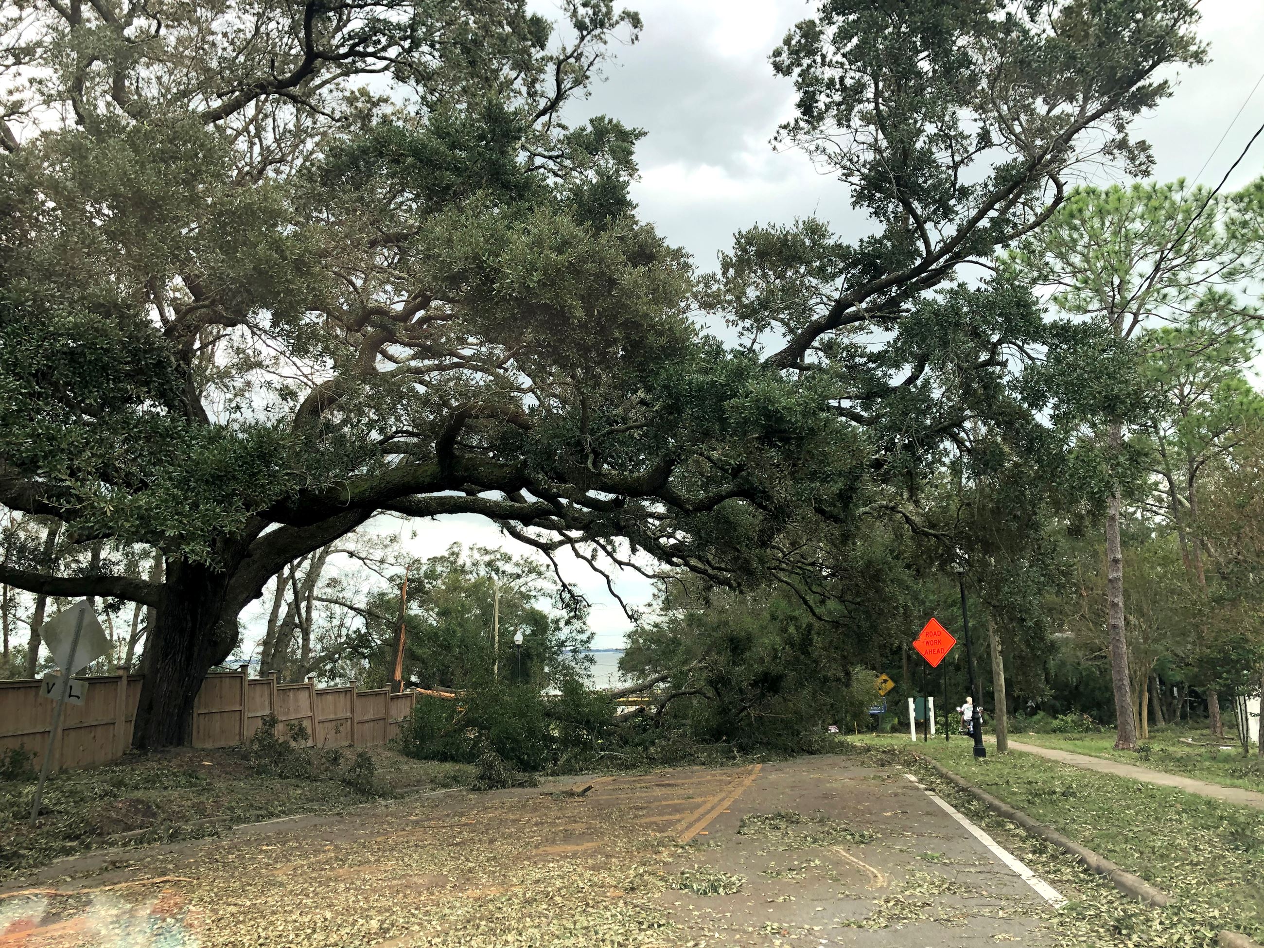 Downed trees in the roadway from hurricane Sally
