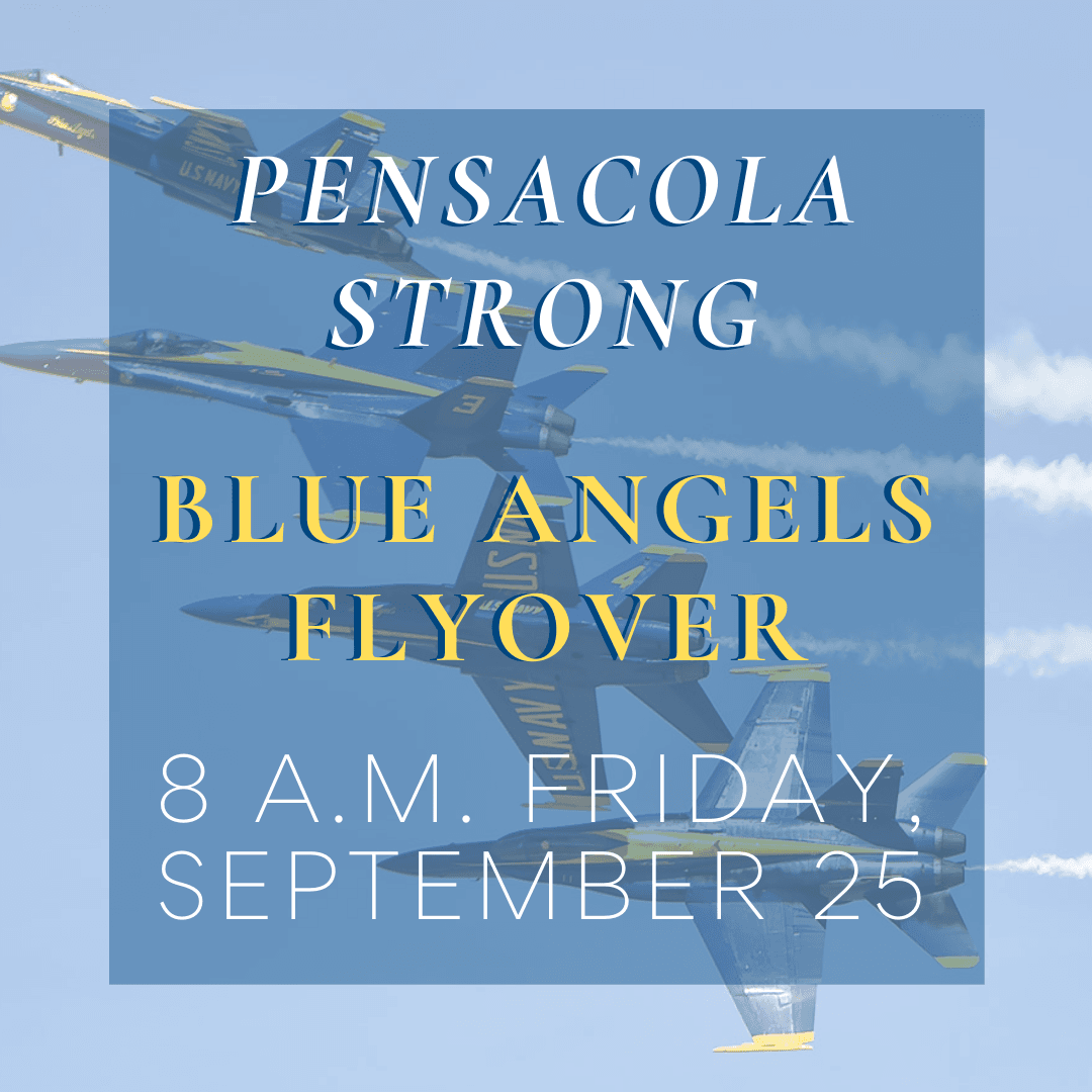 Blue Angels Flyover (3)