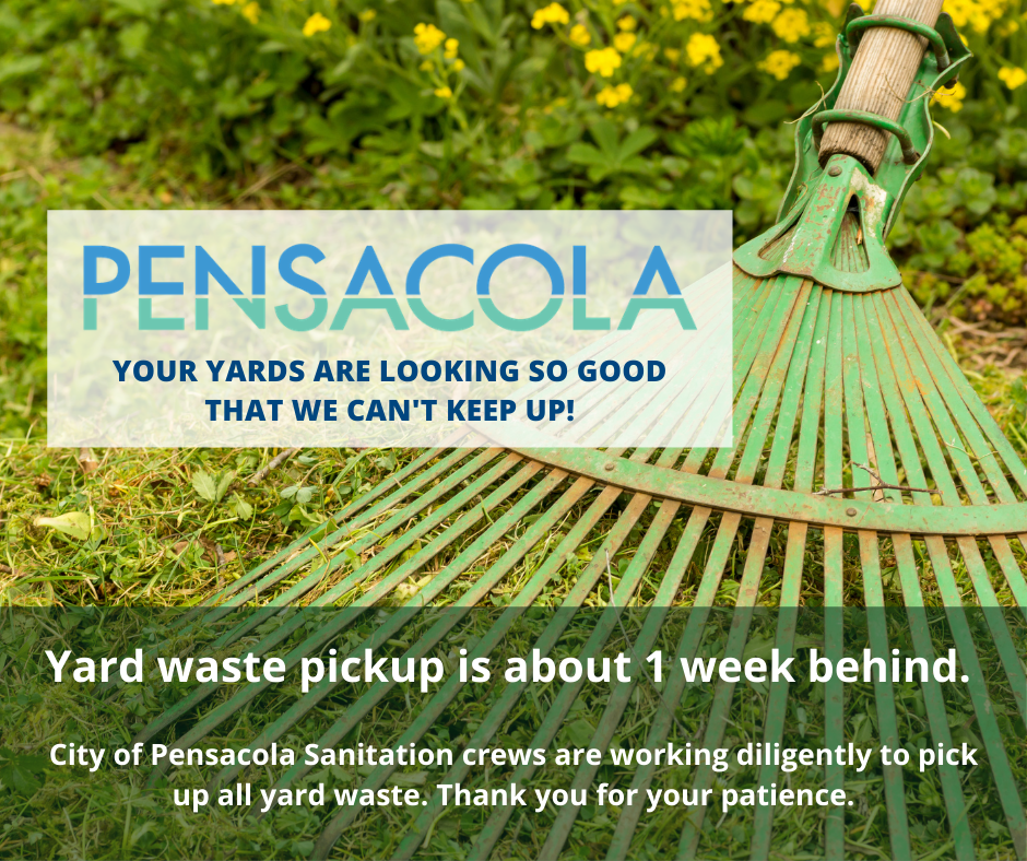 yard waste pickup