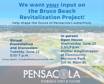 Bruce Beach Revitalization Project