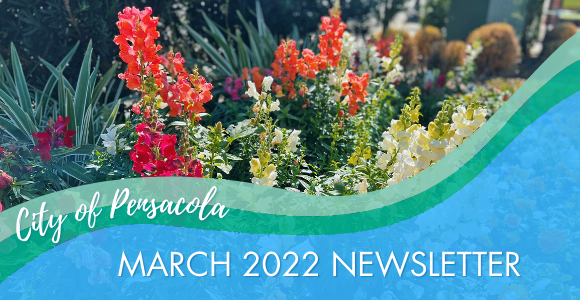 City Newsletter Header Graphic (2)