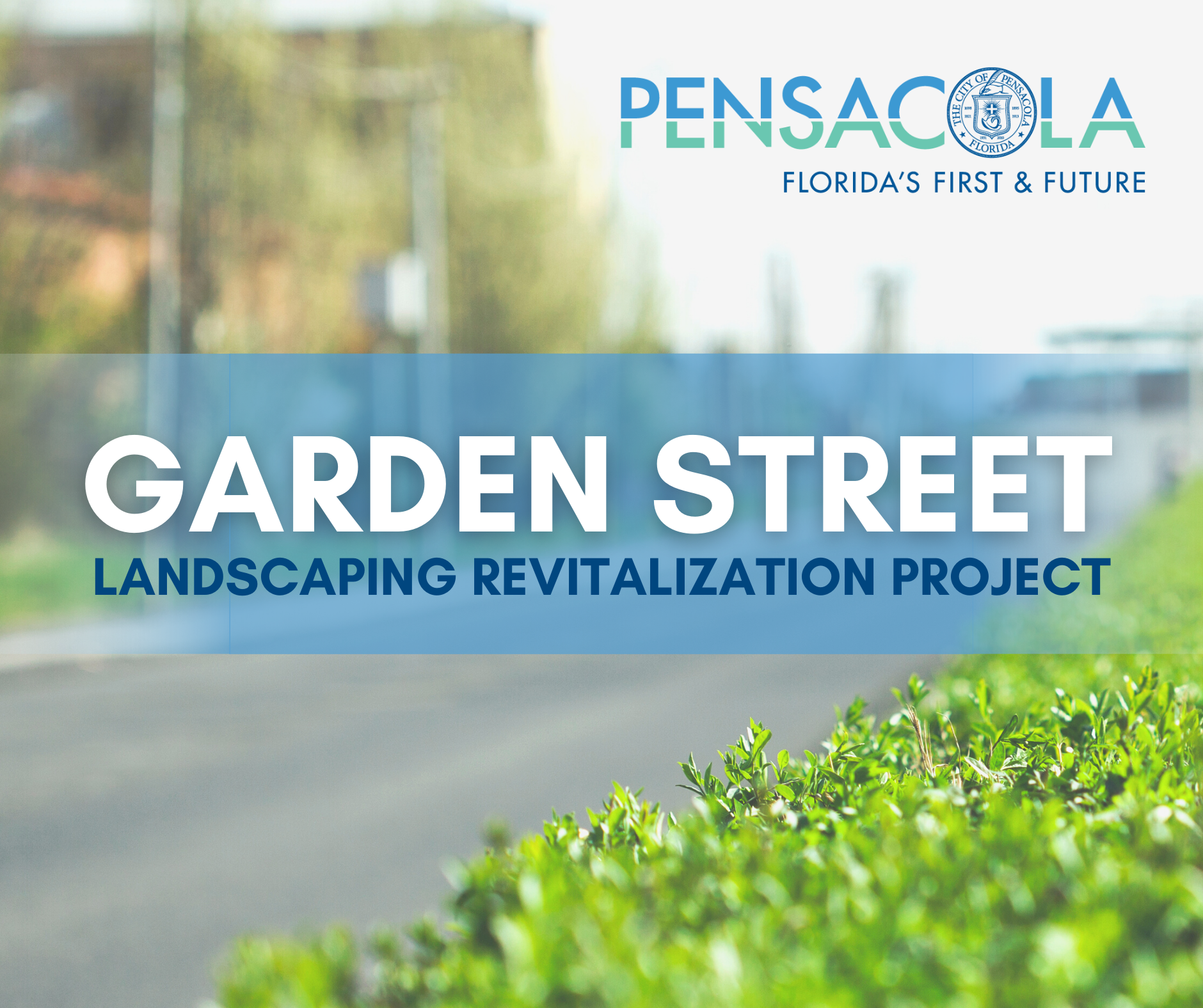 Garden Street Landscaping