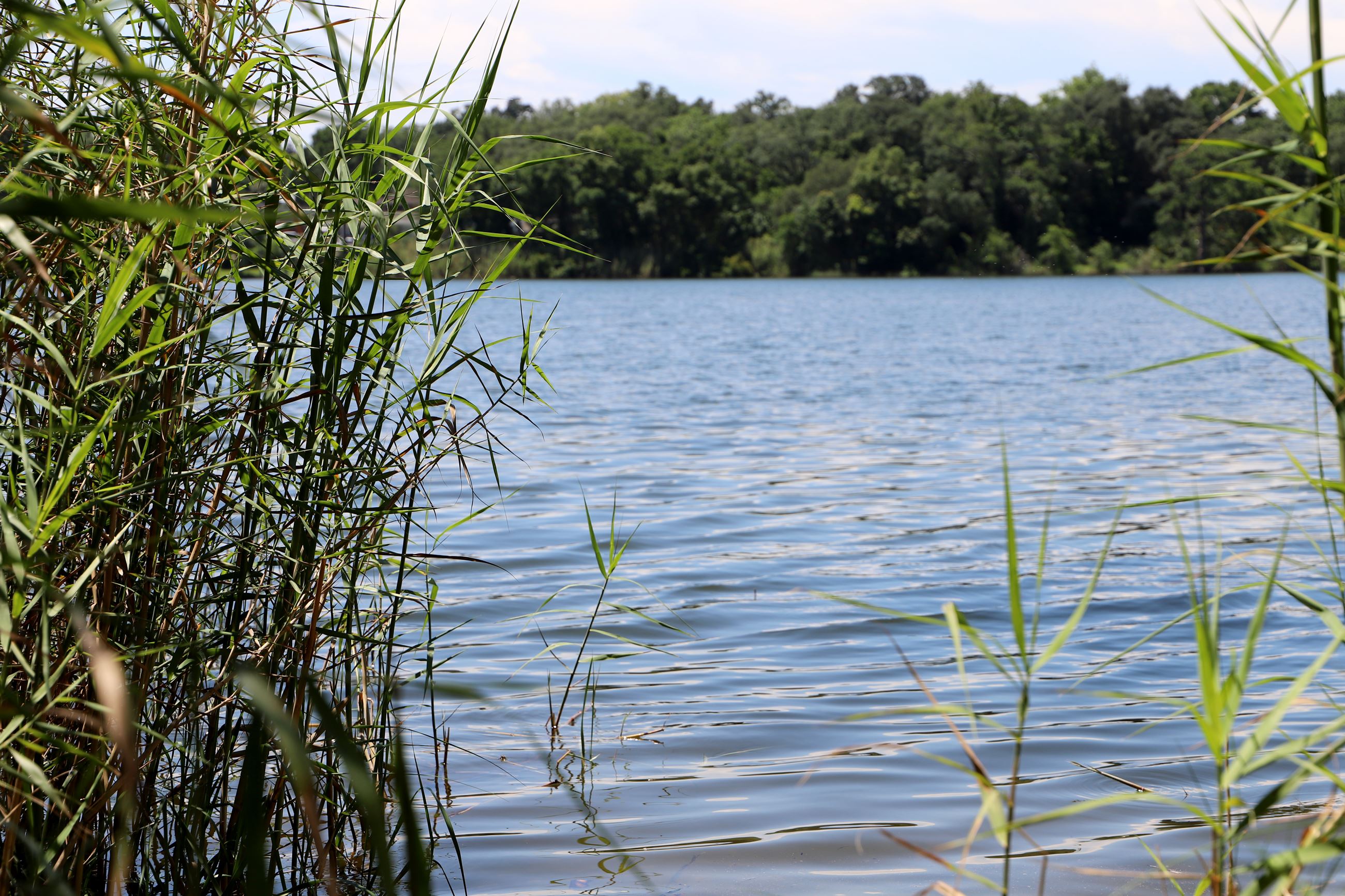 Bayou Texar