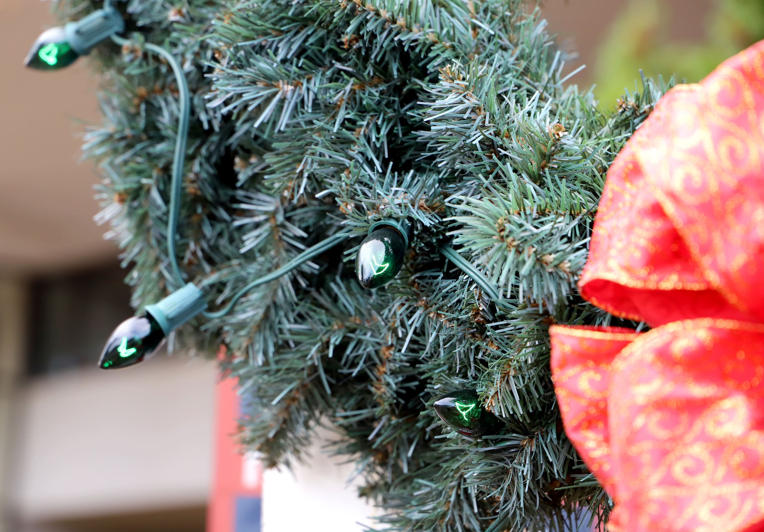 Keep the Wreath Green 1