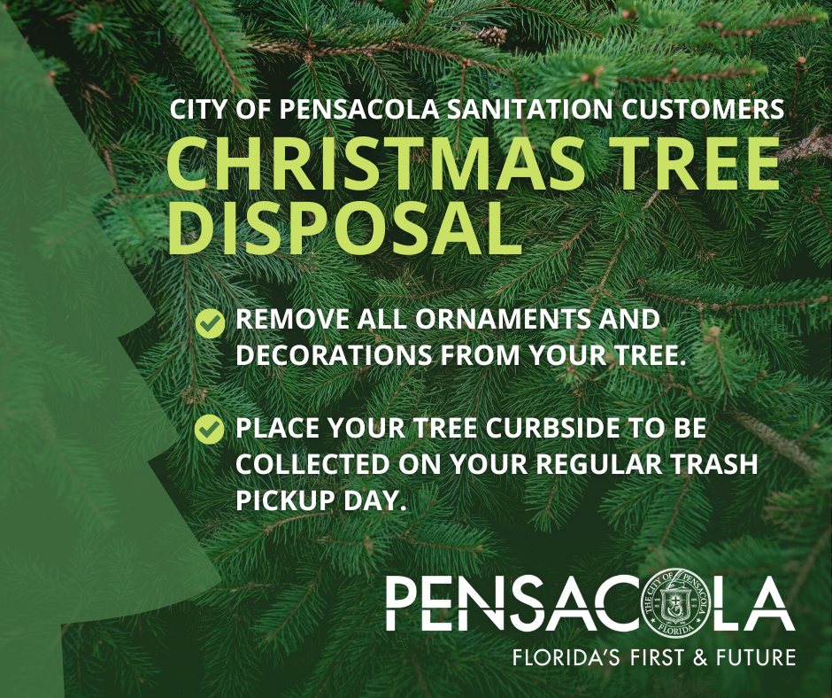 Christmas tree pickup (1)