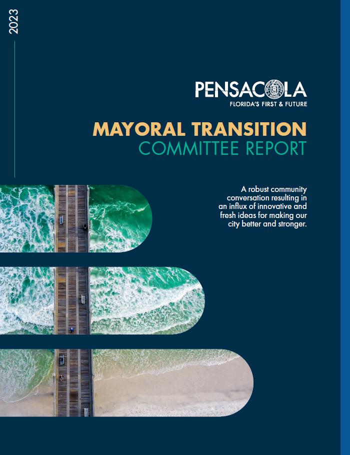 Transition Team report
