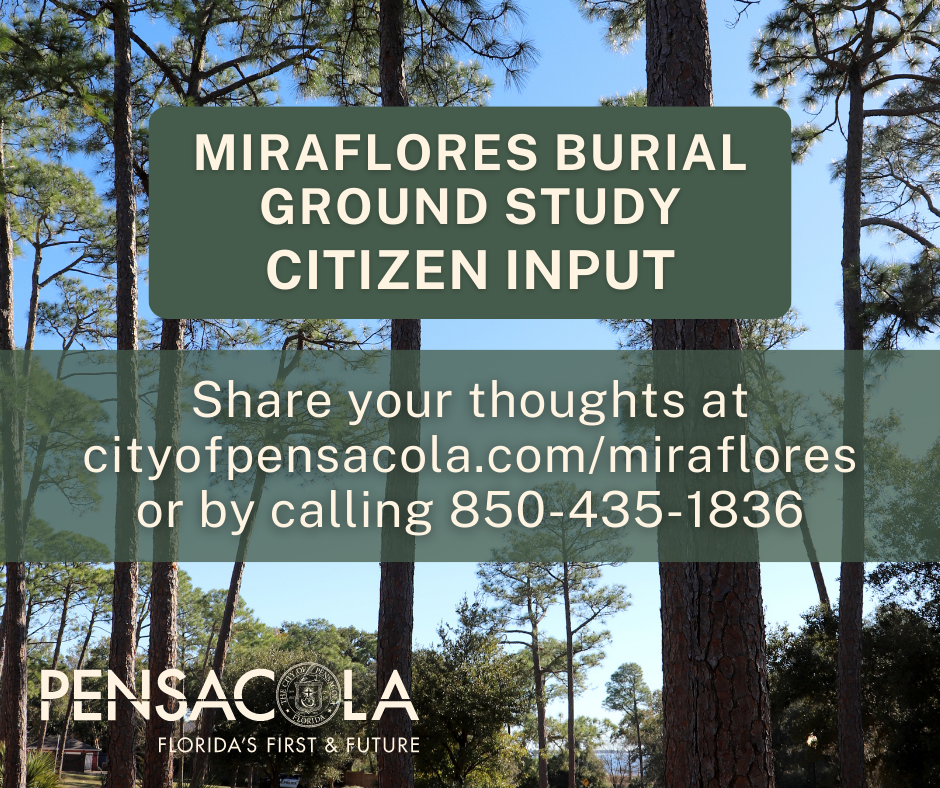 Miraflores public input