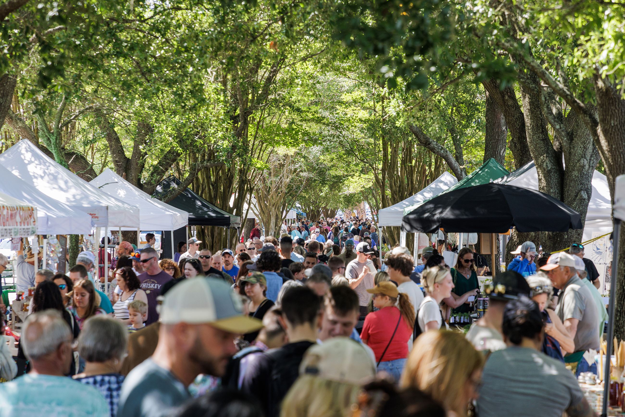Palafox Market