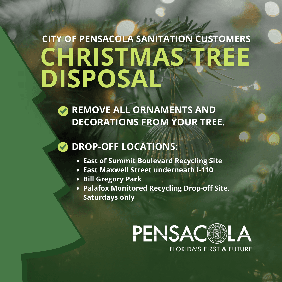 Christmas Tree Collection 2023 IG