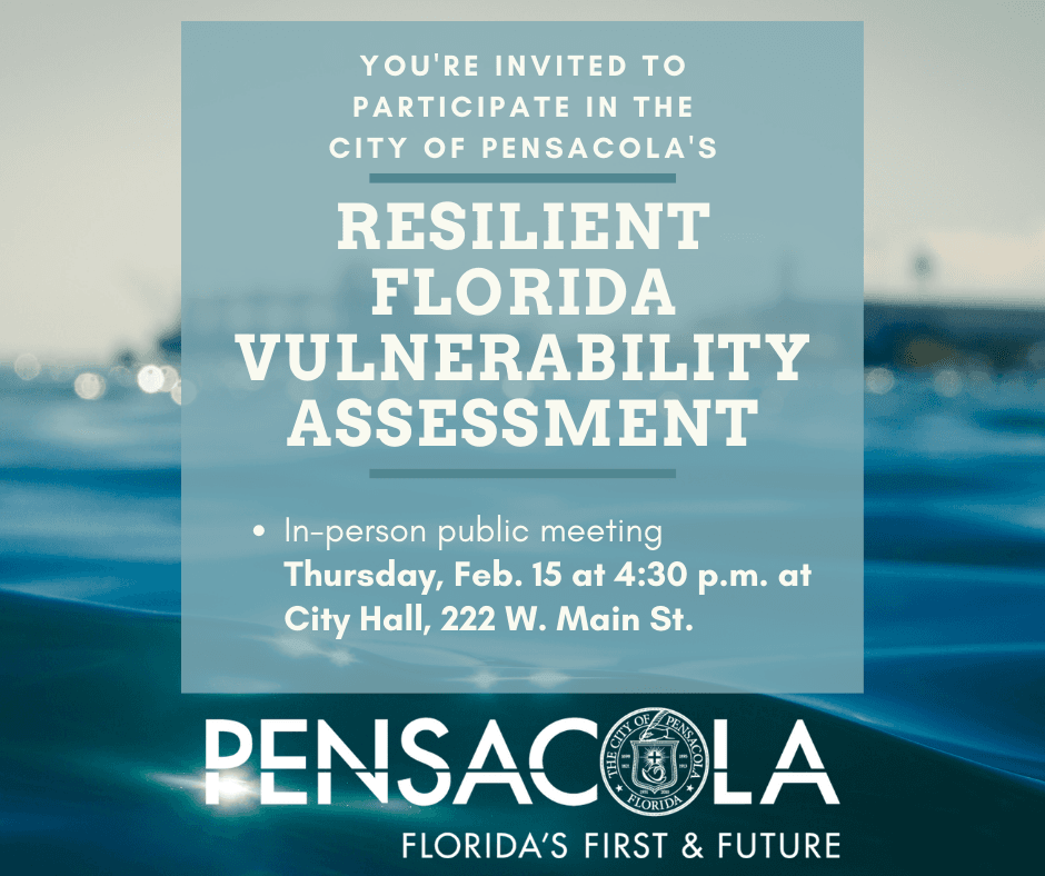 Vulnerability Assessment Meeting February 15