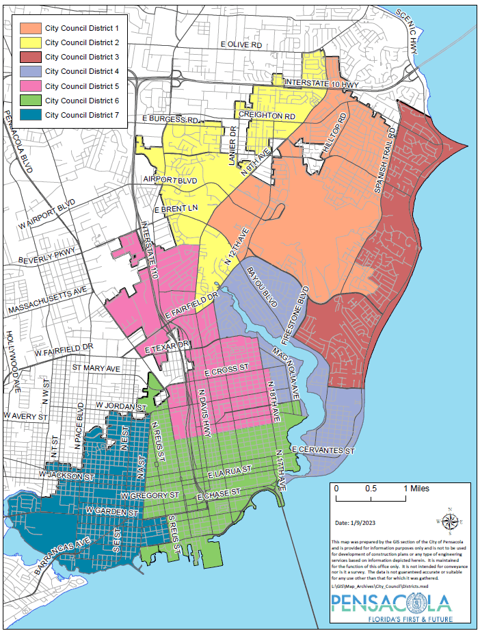 City Council District Map