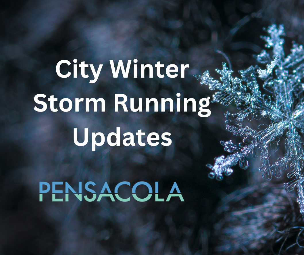 City Winter Storm Running Updates