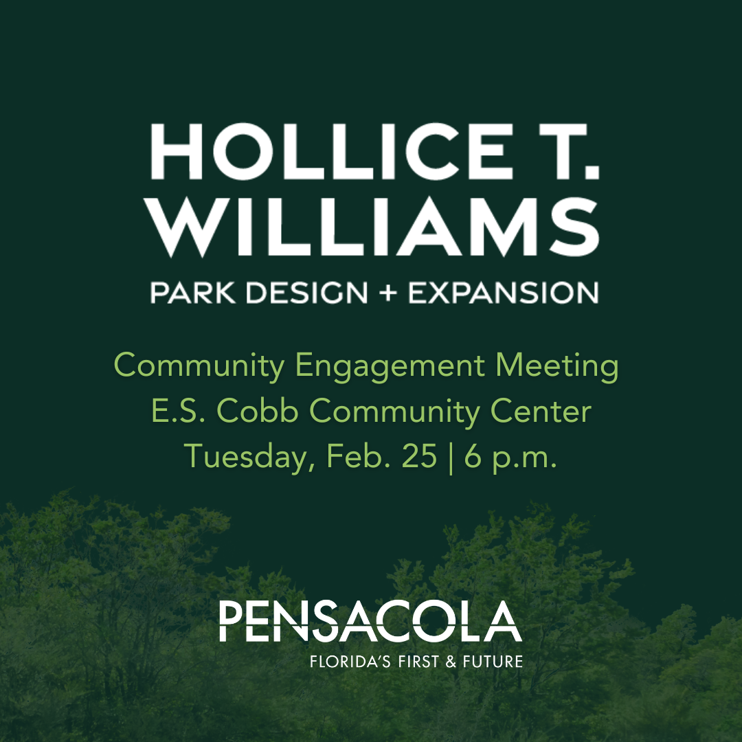 HTW Park Design and Expansion Engagement Meeting February 25, 2025